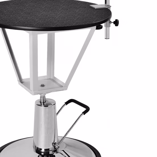 Table médicale électrique hydraulique pour animaux de compagnie, réglable en hauteur, offre spéciale