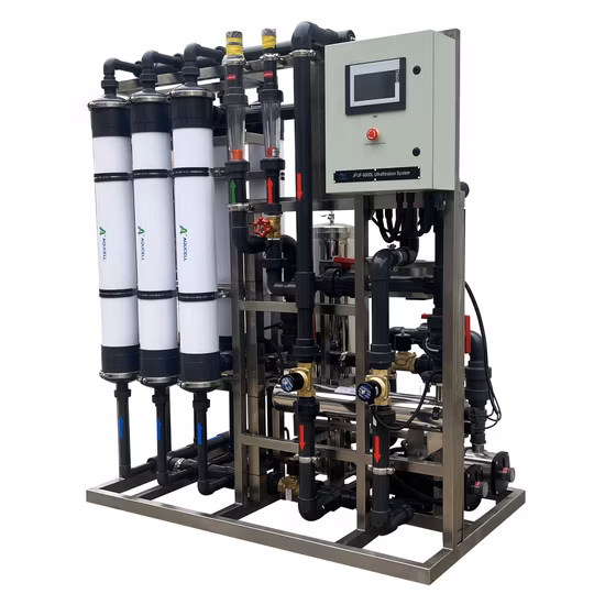 Machine de désinfection de membrane d'ultrafiltration Litree pour le recyclage de l'eau de serre